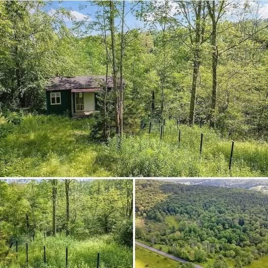 Nature Lover’s Dream – Tranquil 1.5-Acre Retreat with Charming Tiny Bungalow!