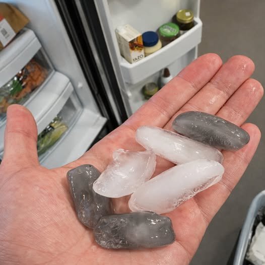We bought our refrigerator a year ago, and I just noticed something weird… my ice cubes are turning GRAY