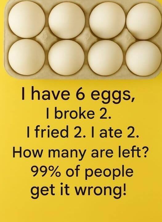 The Riddle of the 6 Eggs — Solved!
